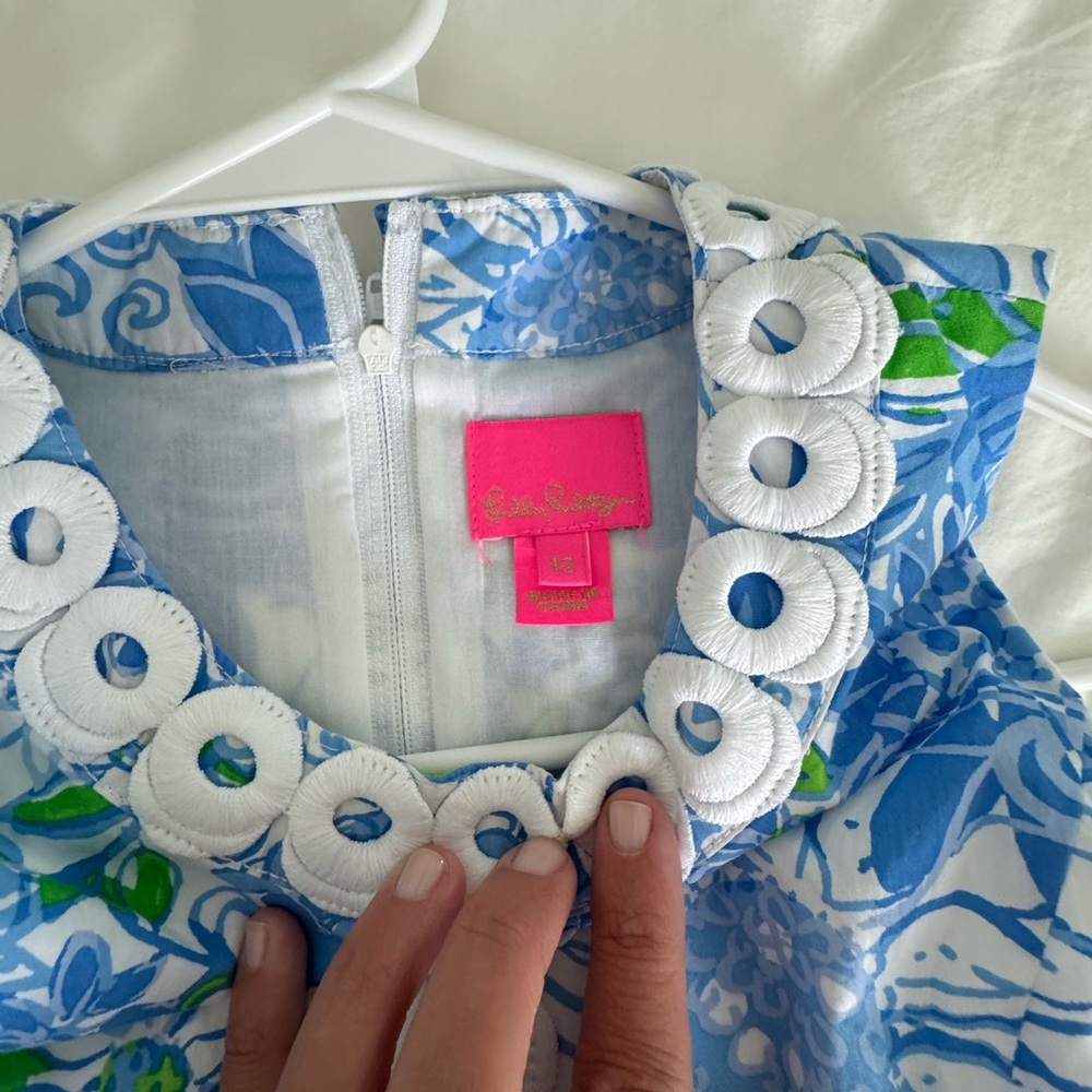 Lilly Pulitzer Blue and White Floral Dress